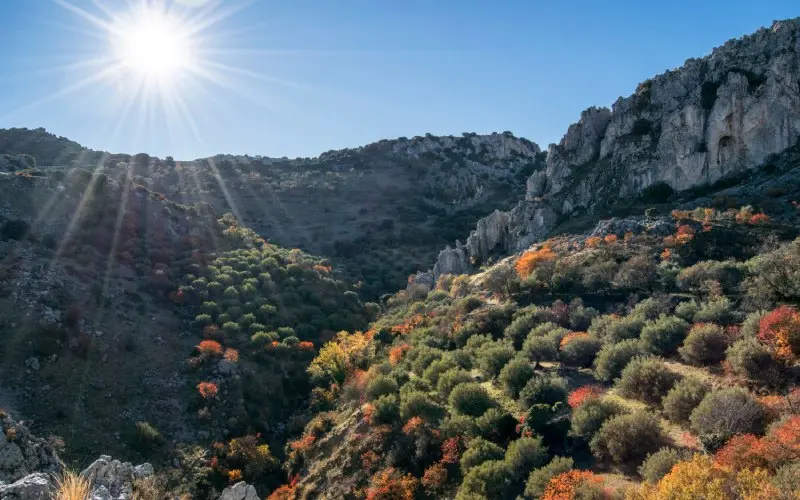 Vegetaci&oacute;n en el Parque de las Sierras Subb&eacute;ticas. | Shutterstock