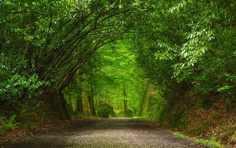 Parque Natural del Se&ntilde;or&iacute;o de Bertiz. | Shutterstock
