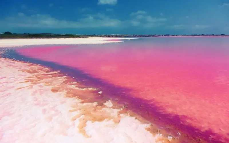 Laguna rosa de Torrevieja. | Shutterstock