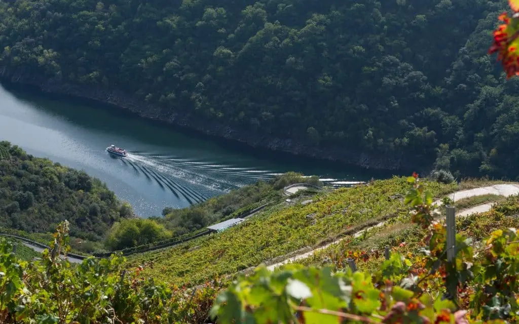 Socalcos en la Ribeira Sacra. | Shutterstock
