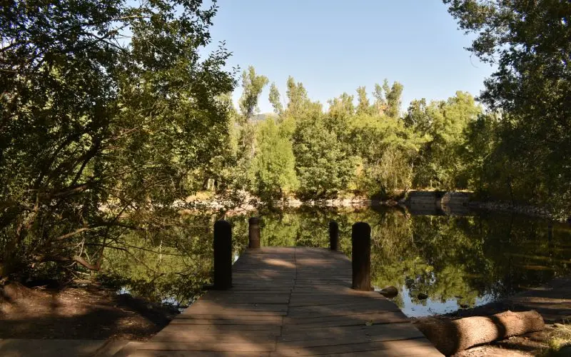 Bosque finland&eacute;s en Rascafr&iacute;a. | Shutterstock