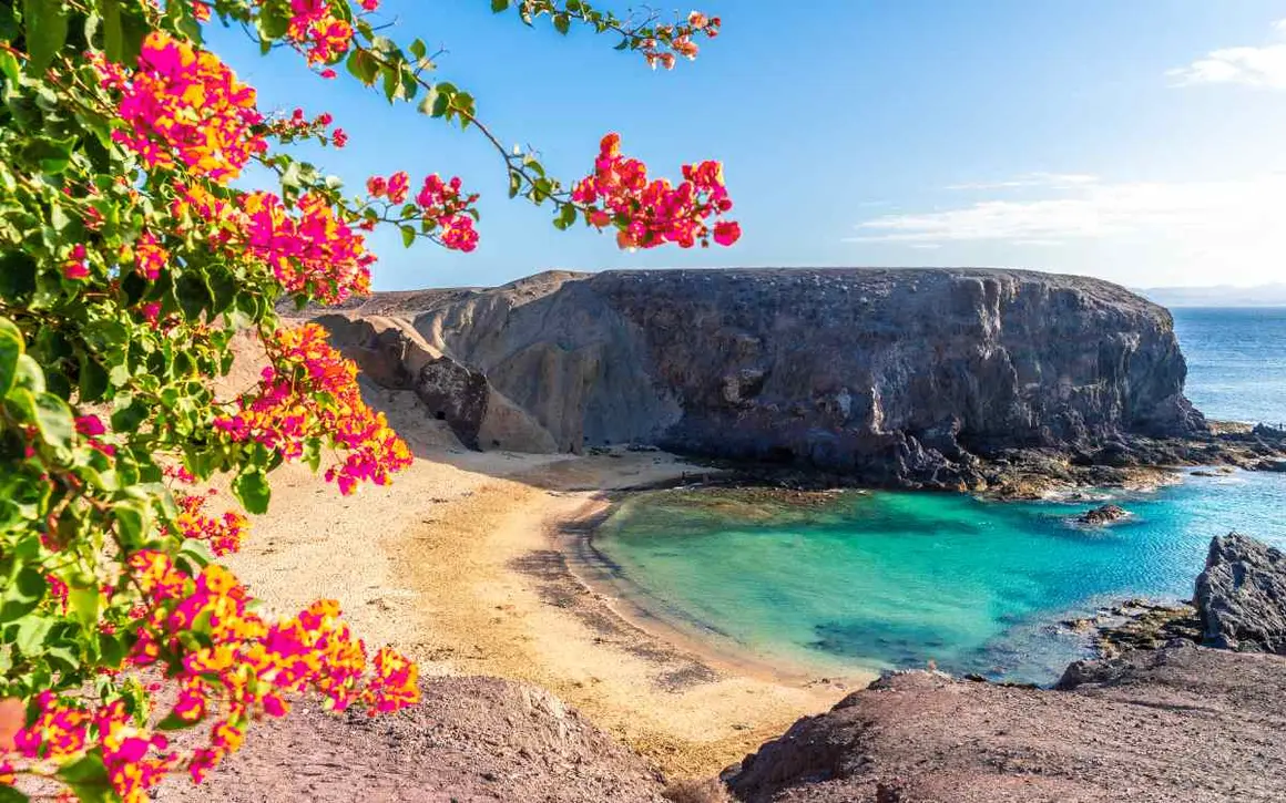 Playa del Papagayo. | Shutterstock