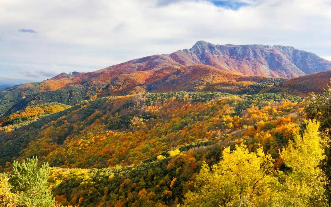 Parque Natural del Montseny. | Shutterstock