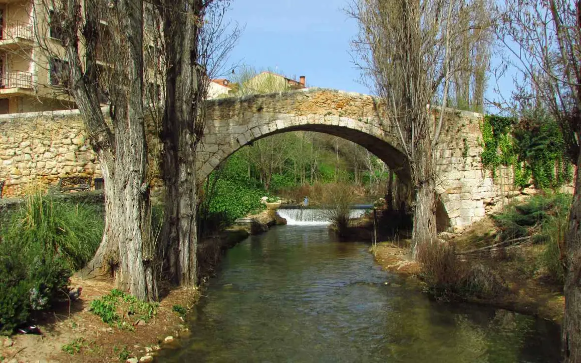 Puente medieval de Aranda de Duero. | Nahia