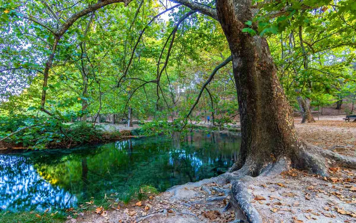 Las Fuentes del Marqu&eacute;s est&aacute;n situadas a dos kil&oacute;metros de Caravaca de la Cruz, a los pies de la Sierra del Gavil&aacute;n y del Buitre. Este bello paraje del noroeste de la regi&oacute;n atrae la atenci&oacute;n de los visitantes por las &laquo;Sartenes&raquo;, unos nacimientos de agua enclavados en la base de los relieves calizos de ambas sierras.