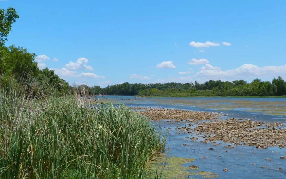 4. Sotos y Galachos del Ebro, la naturaleza a un paso
Hay pocas ciudades que puedan presumir de un entorno natural como este dentro de su t&eacute;rmino municipal. La reserva natural de los Sotos y Galachos del Ebro ocupa varios municipios, entre ellos la capital, y la exuberancia vegetal de estos recodos es una delicia de paisaje, que contrasta con un entorno m&aacute;s bien adusto.
Los galachos, como el de La Cartuja o el de Juslibol, designan a los antiguos meandros del r&iacute;o que, tras un cambio en el cauce, han dado lugar a lagunas, islas y bosques de ribera. Toda una joya natural en la que las aves acu&aacute;ticas recorren un paisaje de &aacute;lamos, chopos y tamarices, y donde es posible sumergirse en la naturaleza m&aacute;s sugerente a poca distancia del casco urbano.