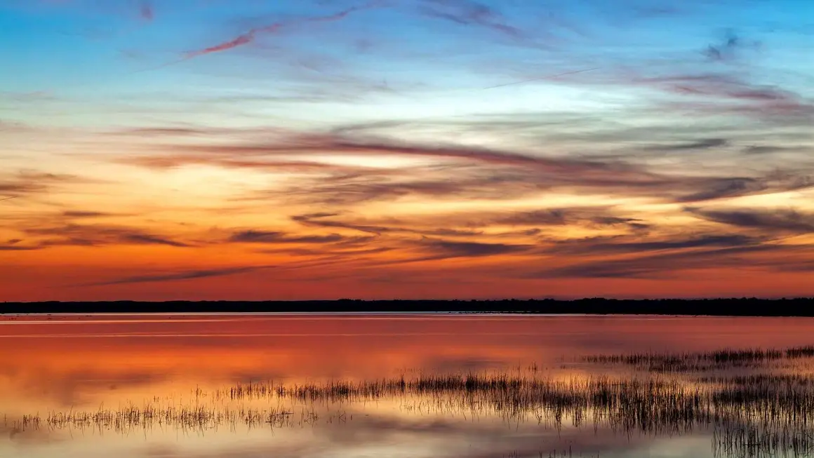 Parque Nacional de Do&ntilde;ana (Huelva, Sevilla y C&aacute;diz). | Shutterstock