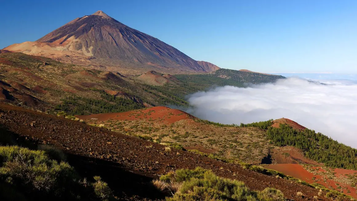 Parque Nacional del Teide (Santa Cruz de Tenerife). | Shutterstock