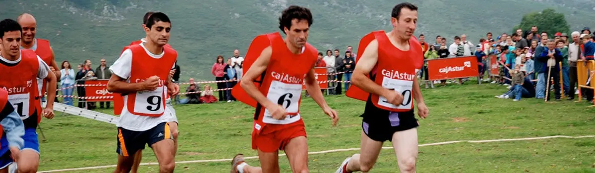 Fiesta del Pastor