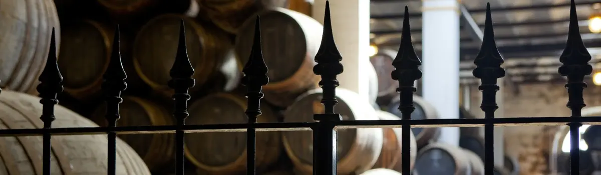 Manzanilla Sanl&uacute;car de Barrameda