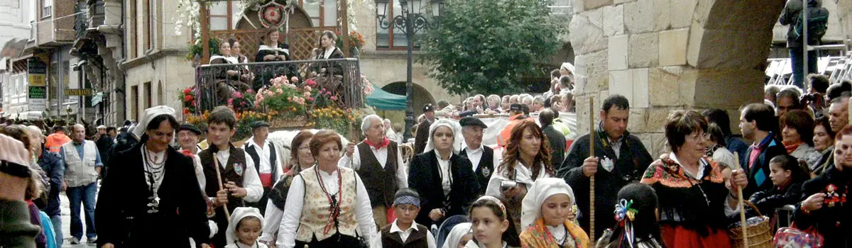 D&iacute;a de Campoo