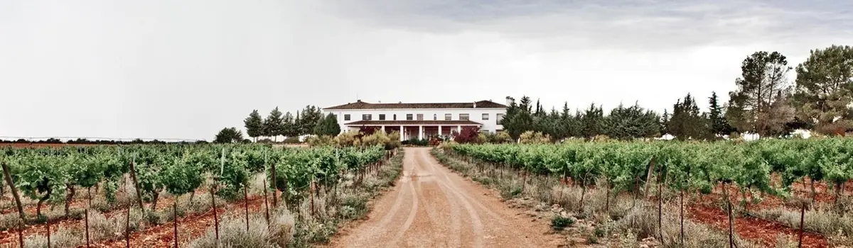 Vinos Finca &Eacute;lez