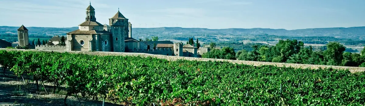 Vino Conca de Barber&aacute;