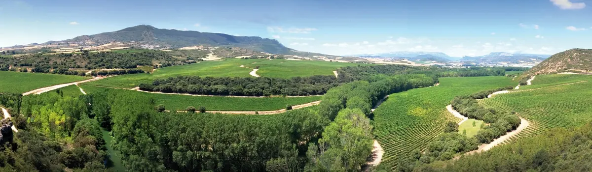 Vinos de Pago de Ar&iacute;nzano