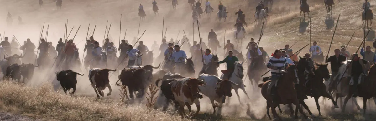 Encierros de Cu&eacute;llar
