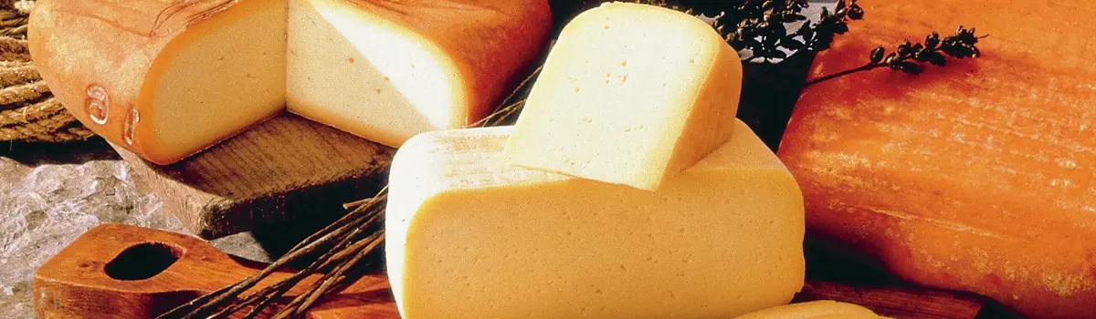 Queso Mah&oacute;n-Menorca