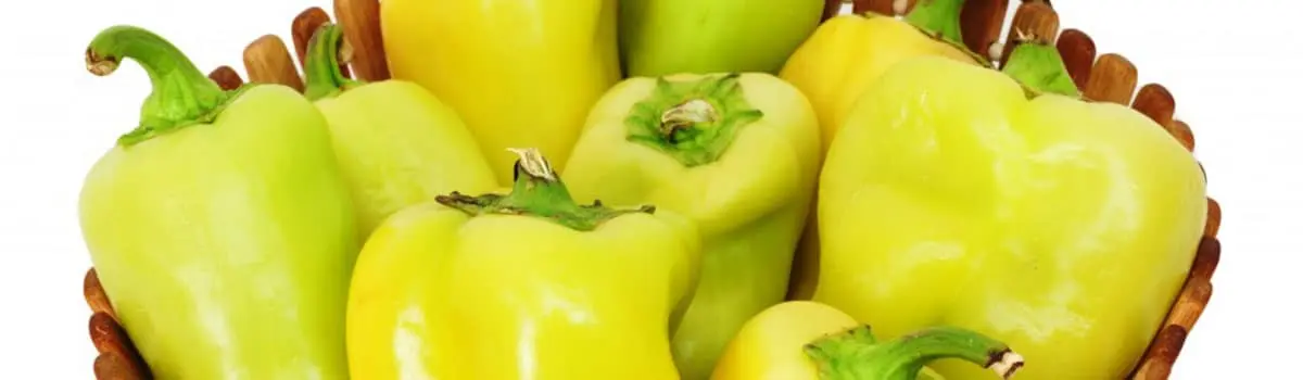 Pimiento de O&iacute;mbra