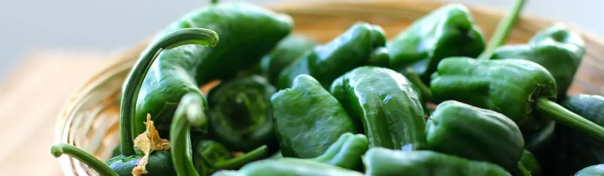 Pimiento de Herb&oacute;n