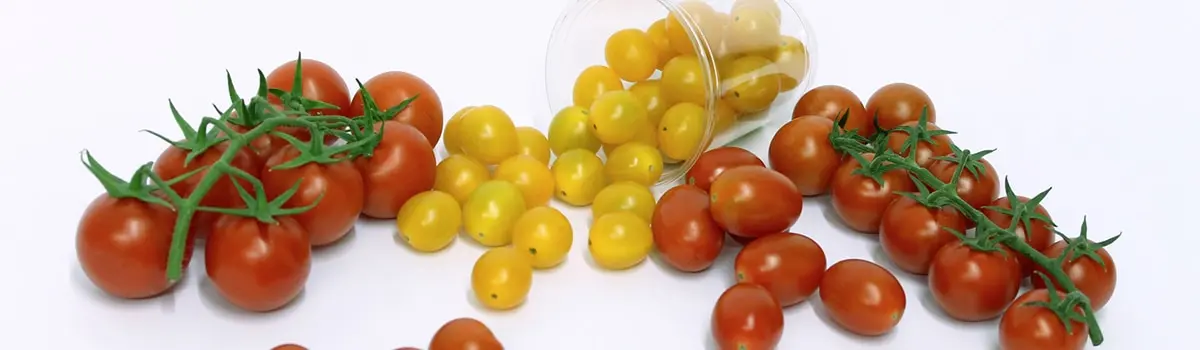 Tomate La Ca&ntilde;ada