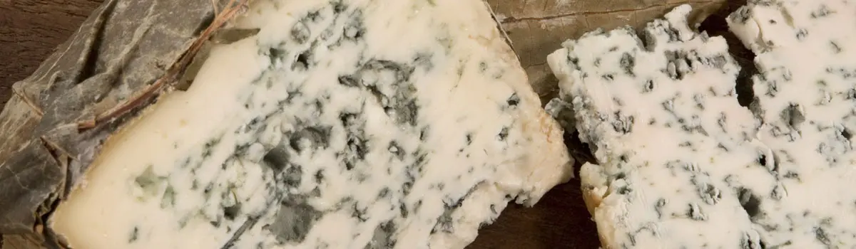 Queso de Valde&oacute;n