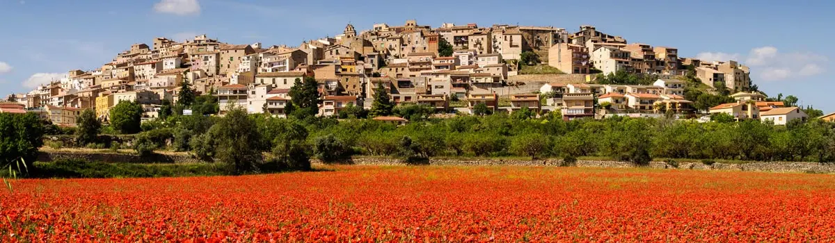 D&oacute;nde dormir en Horta De Sant Joan