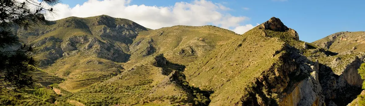 Pe&ntilde;a Isasa