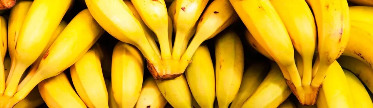 Pl&aacute;tano de Canarias