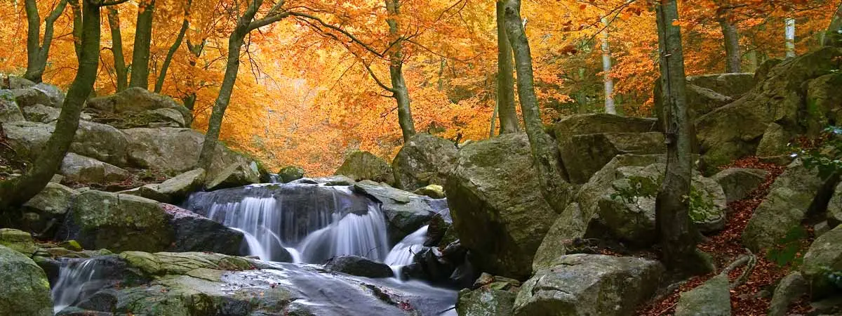 Parque Natural del Montseny