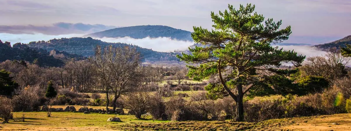 Sierra de Guadarrama