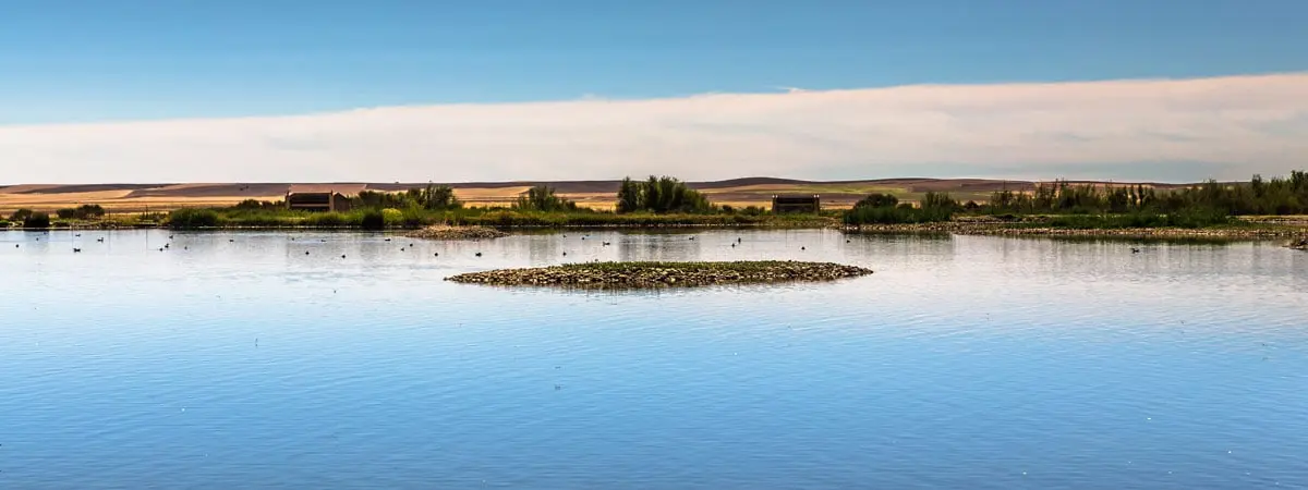 Lagunas de Villafafila