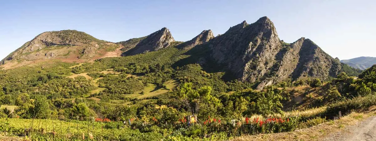 Enci&ntilde;a da Lastra