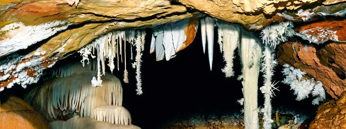 Cueva del Casta&ntilde;ar