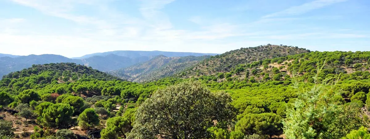Sierra de Ja&eacute;n. | Shutterstock