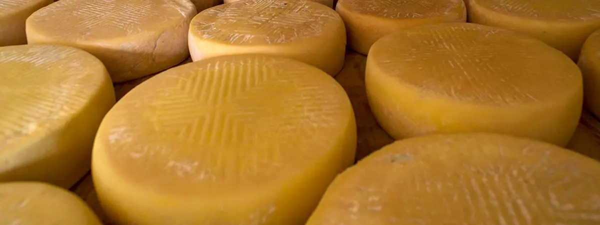Queso de Gu&iacute;a