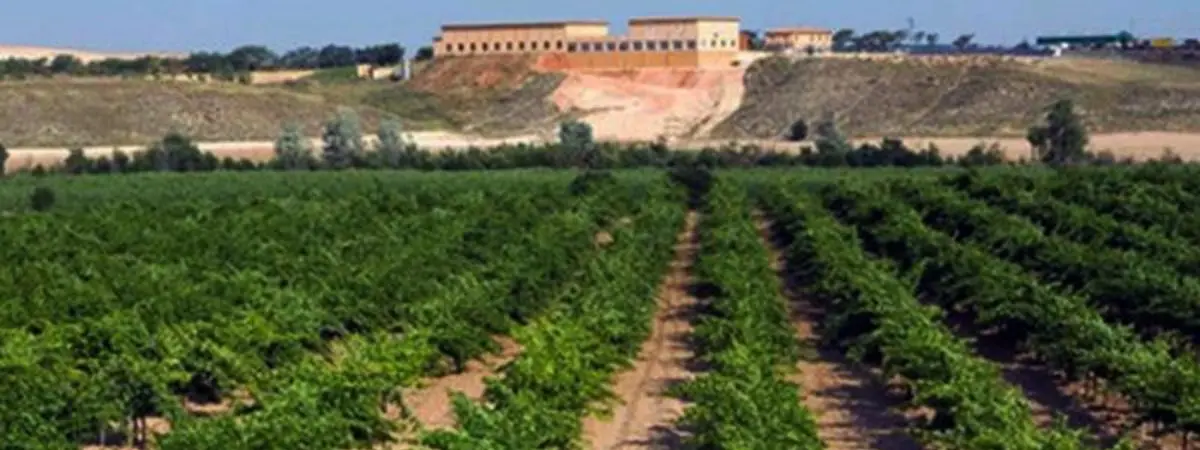 Vino Taraconte-Acentejo
