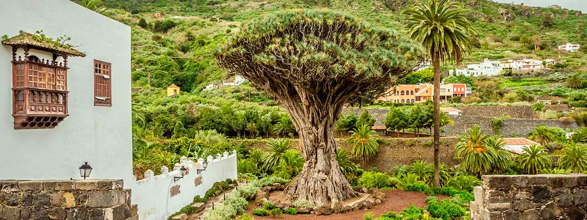 Qué ver en Icod de los Vinos | Escapada | España Fascinante