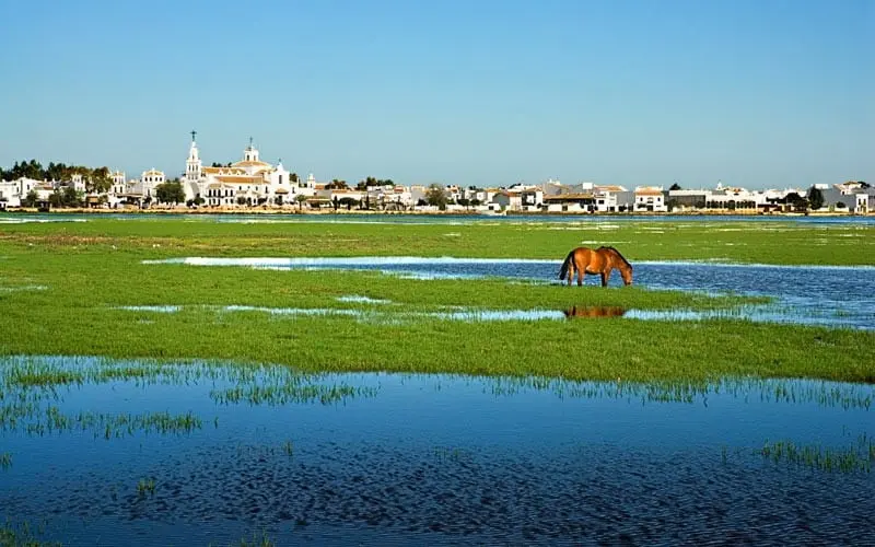 Do&ntilde;ana, posible enclave de Tartessos.