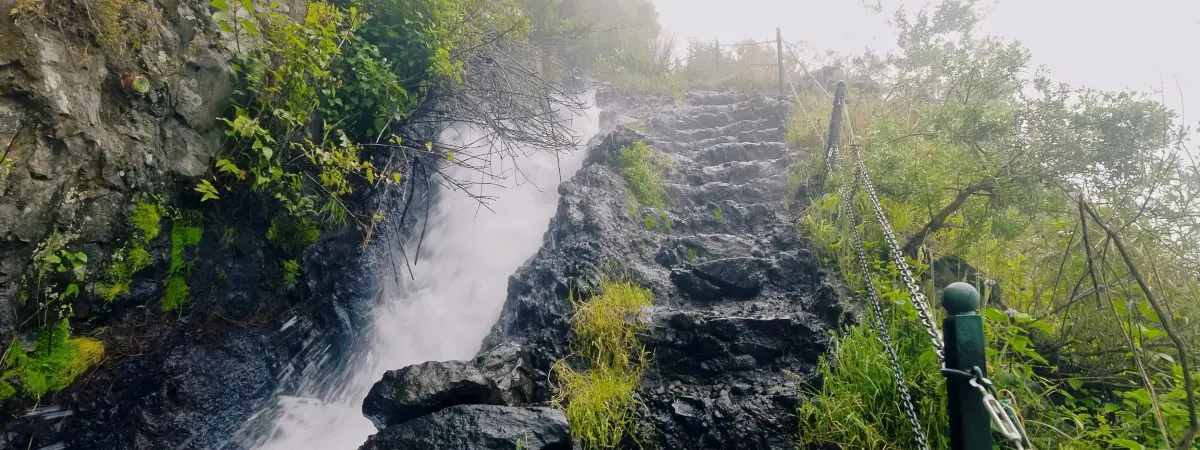 Vegetaci&oacute;n en la cascada de Los Tilos. | Shutterstock
