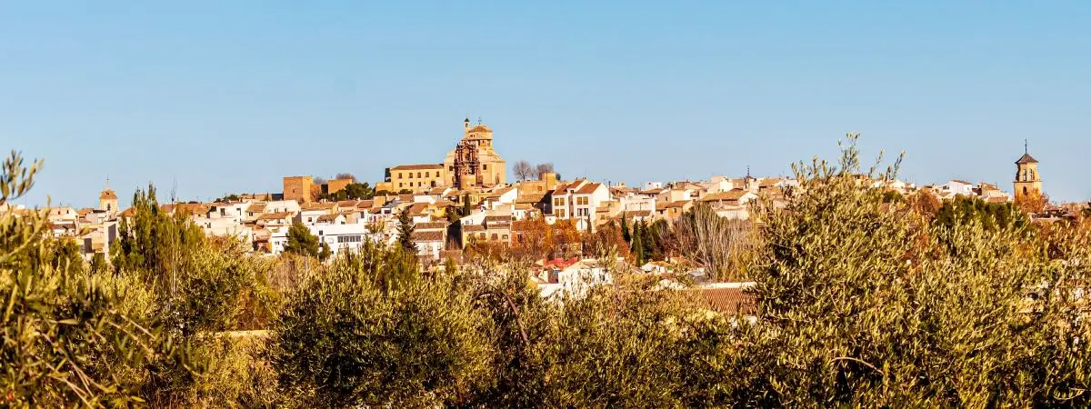 Vista de p&aacute;jaro del castillo y del pueblo de Caravaca de la Cruz