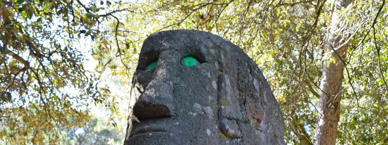 El Bosque de &Ograve;rrius