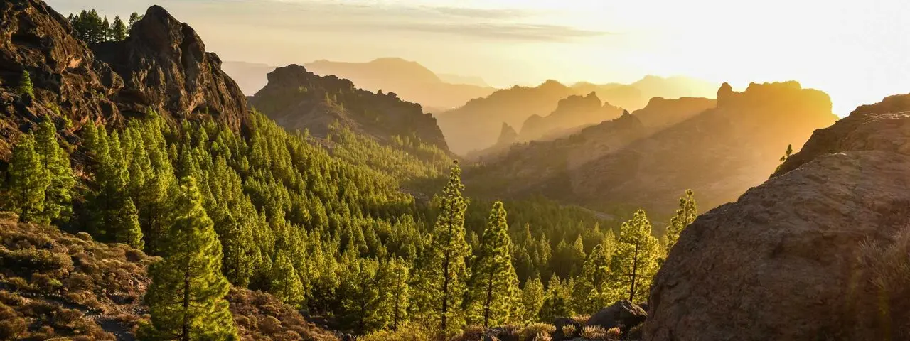 La gastronom&iacute;a de Gran Canaria