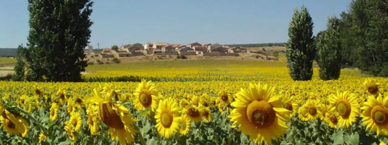 Torremochuela_02 (1)