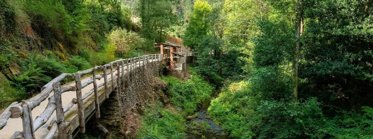 Fotos portada (1920x720) (56)