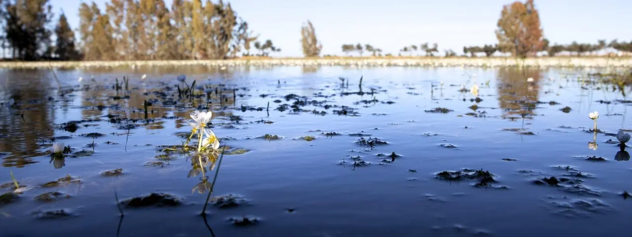 Fotos portada (1920x720) (78)