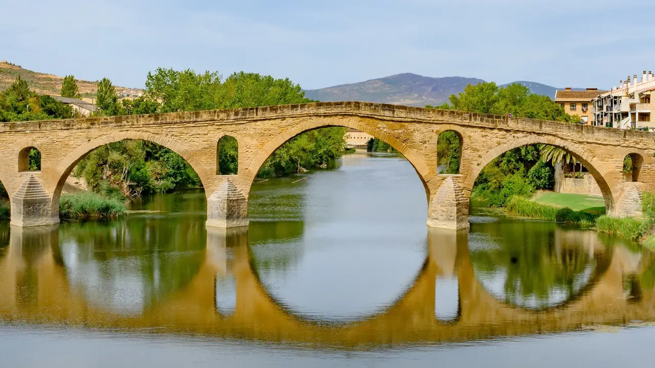 shutterstock_2230300559
