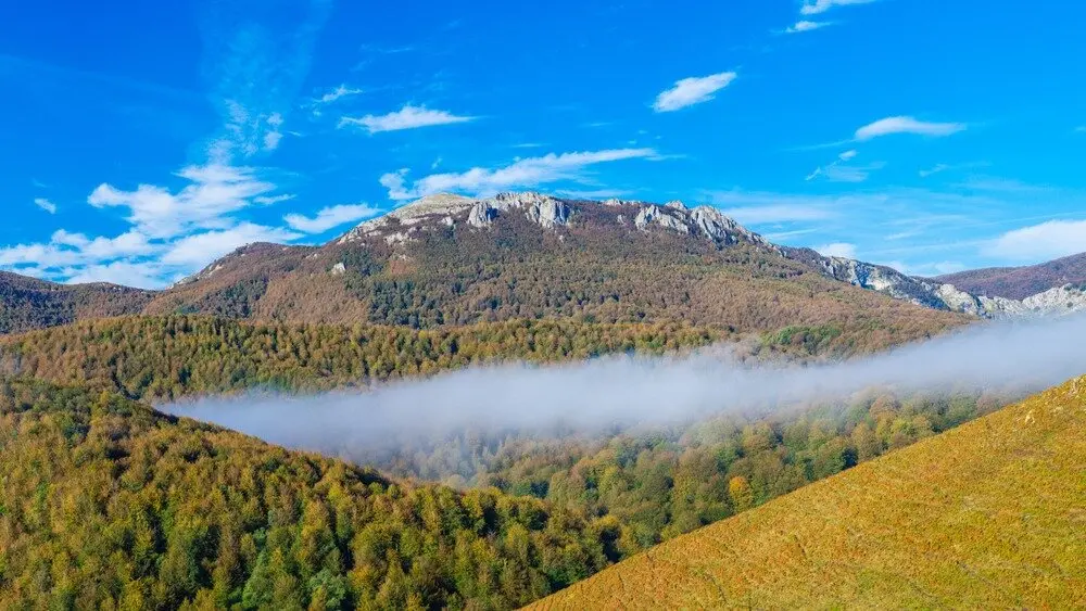 shutterstock_2007452963 (1)