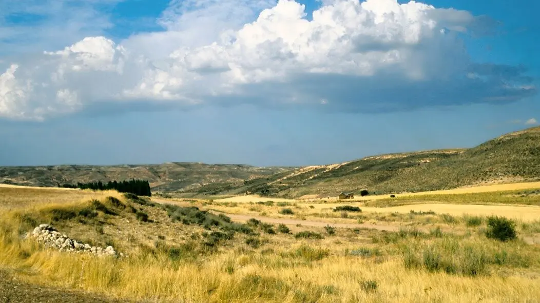 Caltojar_(2000)_03