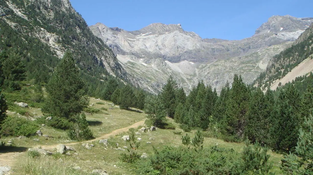 Monta&ntilde;as y bosques en el Valle de Barrosa.