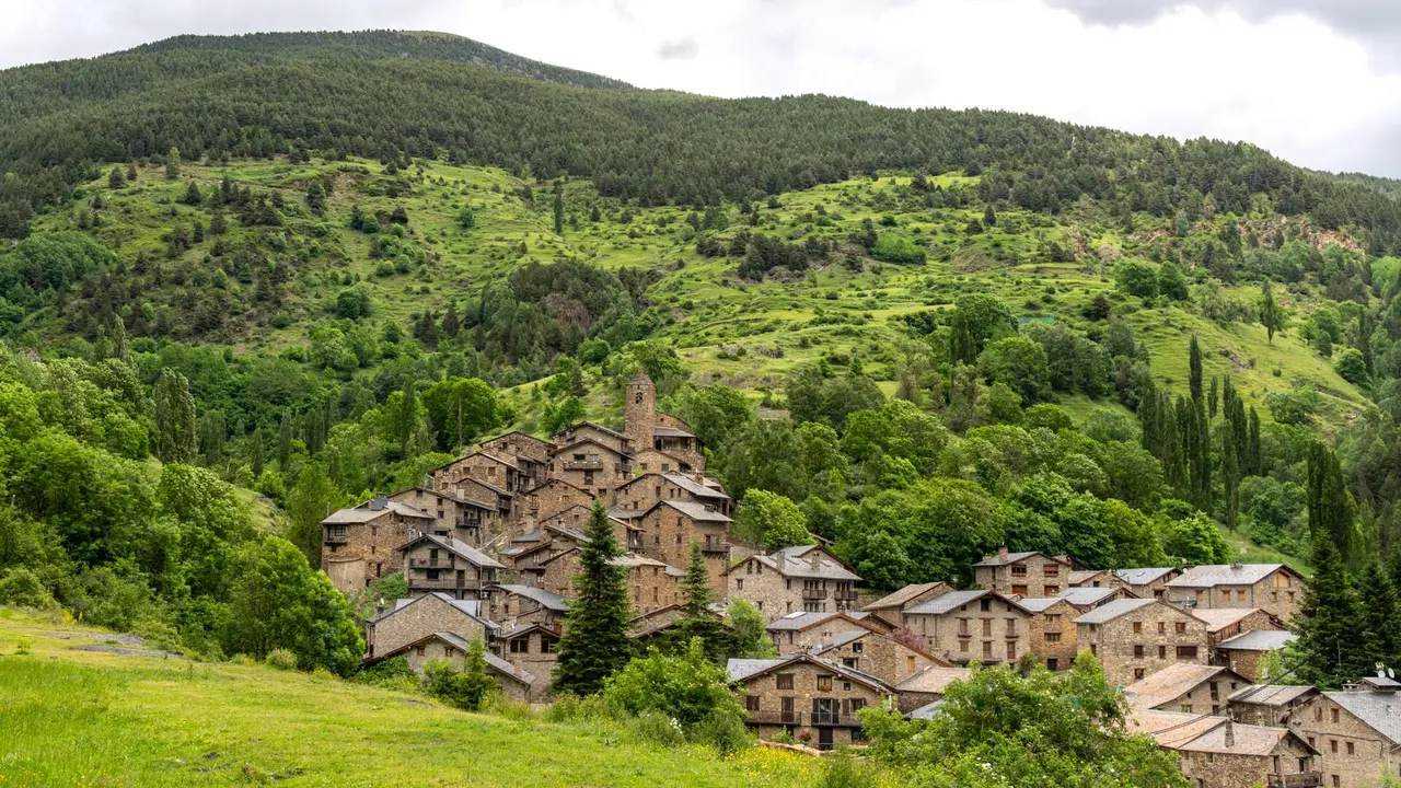 Os de Civ&iacute;s. | Shutterstock