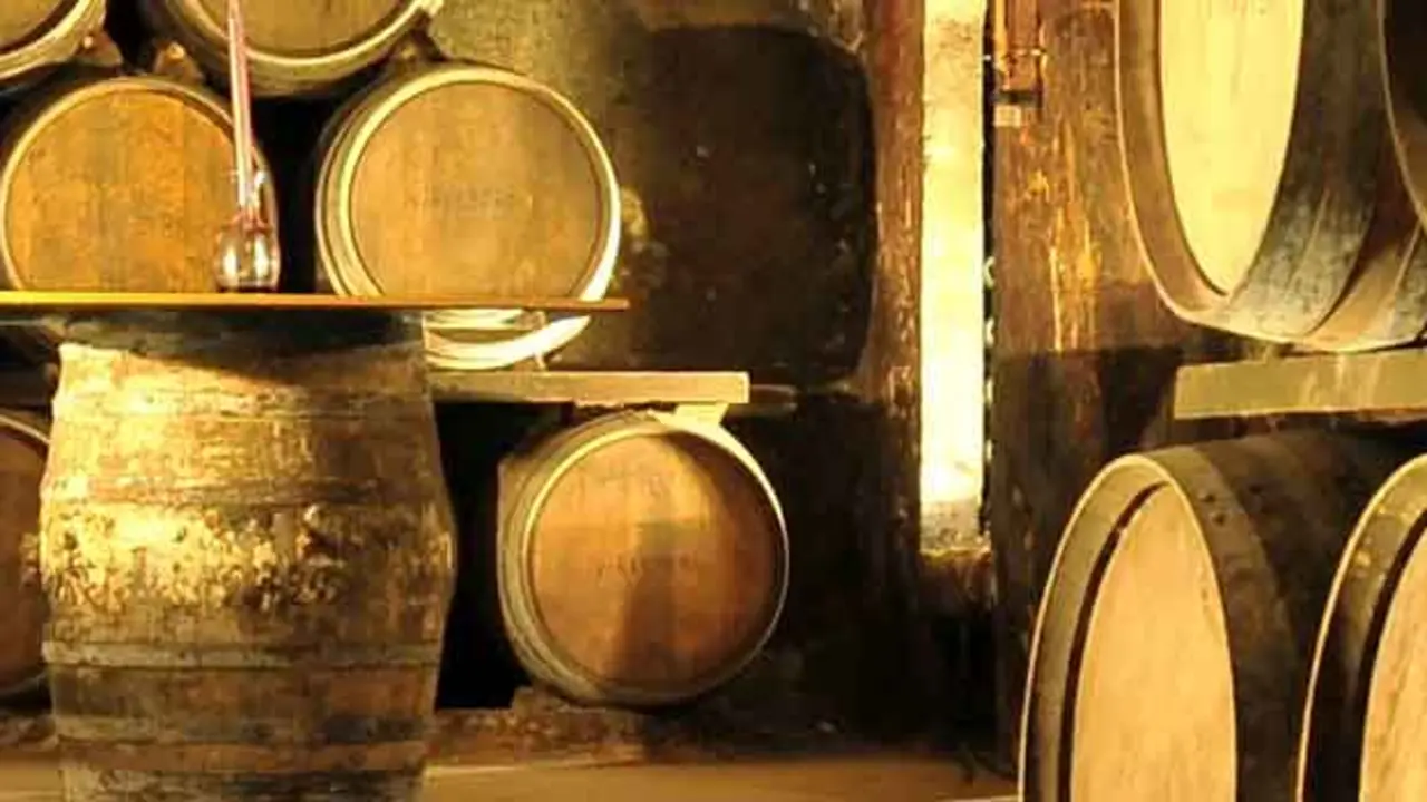 Vinos Condado de Huelva